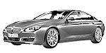 BMW F06 P20DC Fault Code