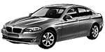 BMW F10 P20DC Fault Code
